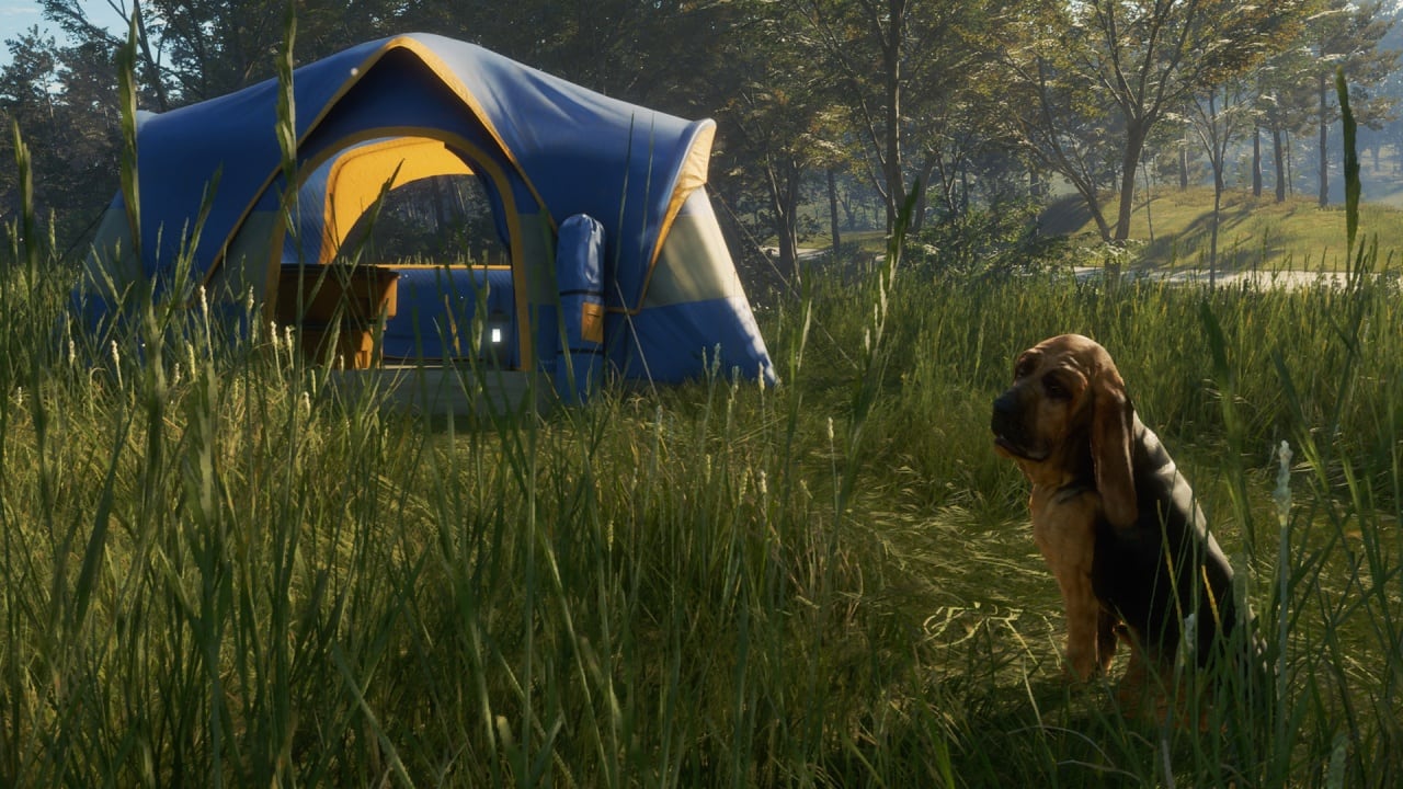 theHunter：野性的呼唤 - 寻血猎犬[theHunter: Call of the Wild - Bloodhound] 游戏截图9