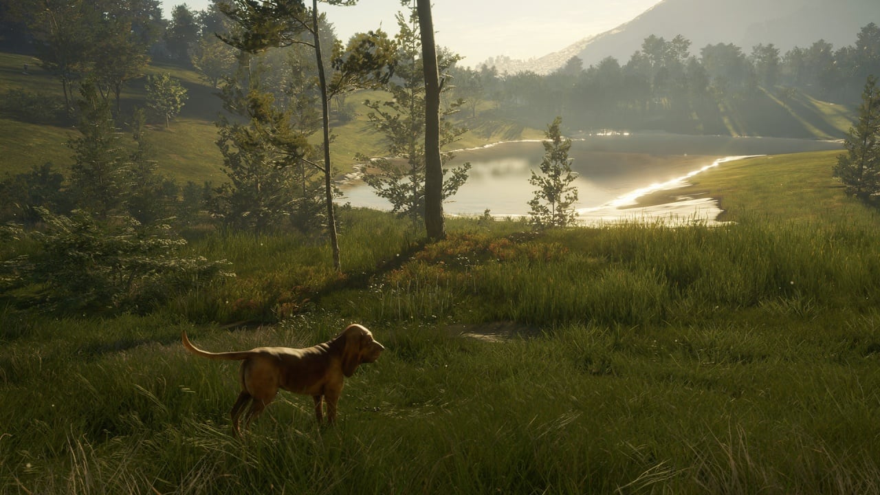 theHunter：野性的呼唤 - 寻血猎犬[theHunter: Call of the Wild - Bloodhound] 游戏截图10