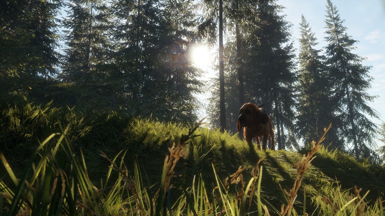 theHunter：野性的呼唤 - 寻血猎犬[theHunter: Call of the Wild - Bloodhound] 游戏截图3