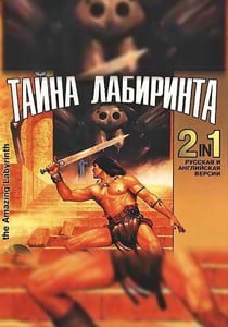 奇妙的迷宫[The Amazing Labyrinth] 游戏封面