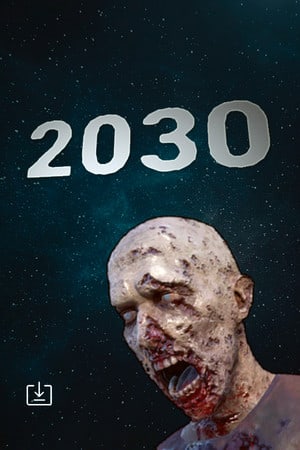 2030 游戏封面