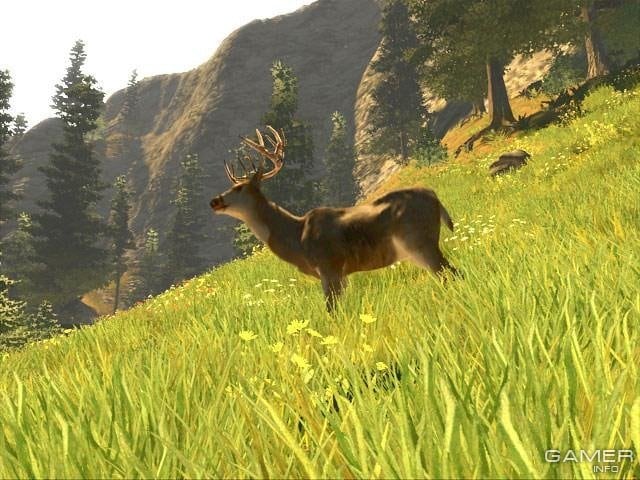 Cabela's Big Game Hunter 2008: Trophy Buck 游戏截图5