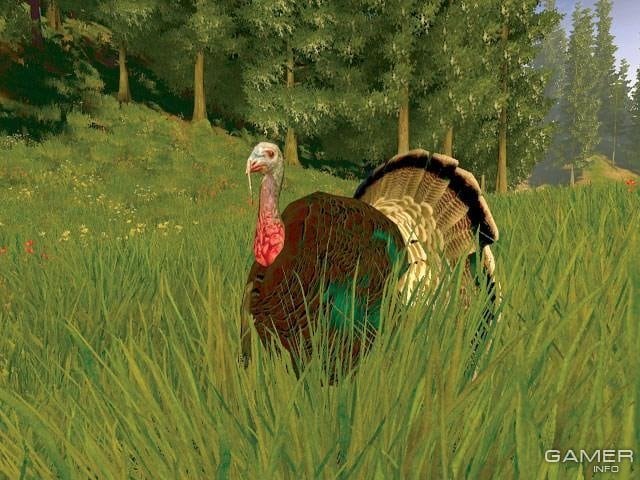 Cabela's Big Game Hunter 2008: Trophy Buck 游戏截图4