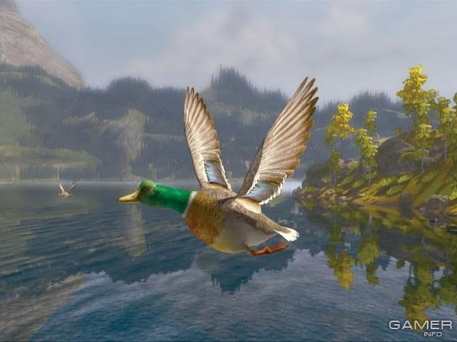 Cabela's Big Game Hunter 2008: Trophy Buck 游戏截图3