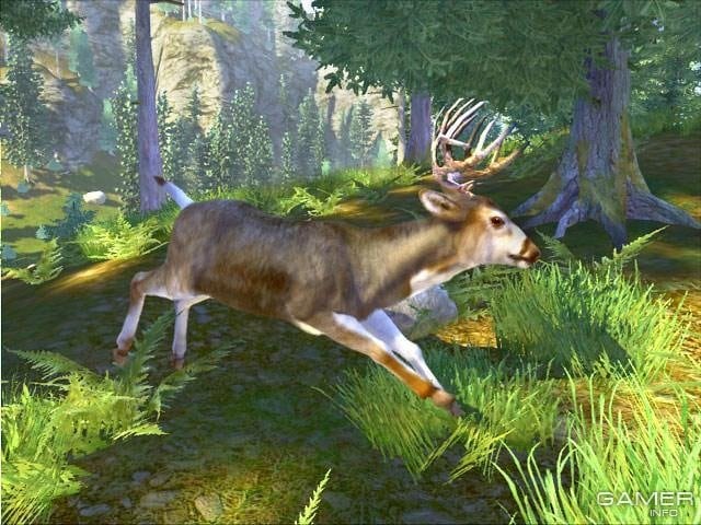 Cabela's Big Game Hunter 2008: Trophy Buck 游戏截图2