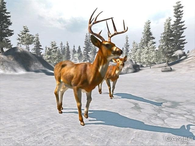 Cabela's Big Game Hunter 2008: Trophy Buck 游戏截图6
