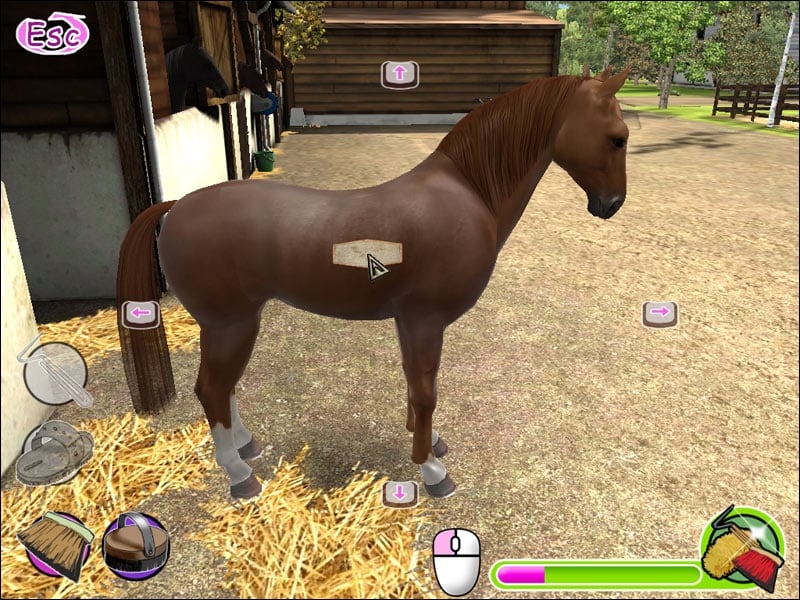 我的驰骋3D[My Gallops 3D] 游戏截图3