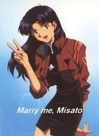 嫁给我吧，美里！[Marry me, Misato!] 游戏封面