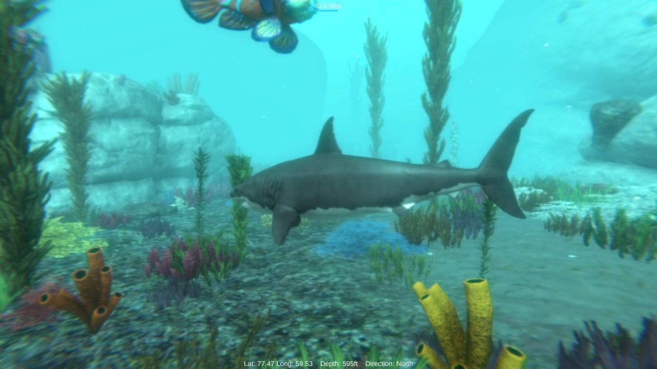 阿尔法鲨[Alpha Shark] 游戏截图2