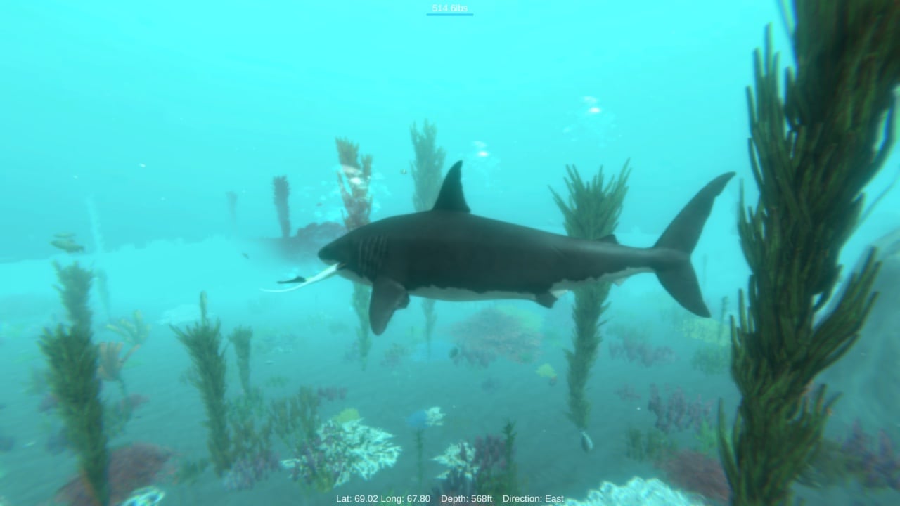 阿尔法鲨[Alpha Shark] 游戏截图4