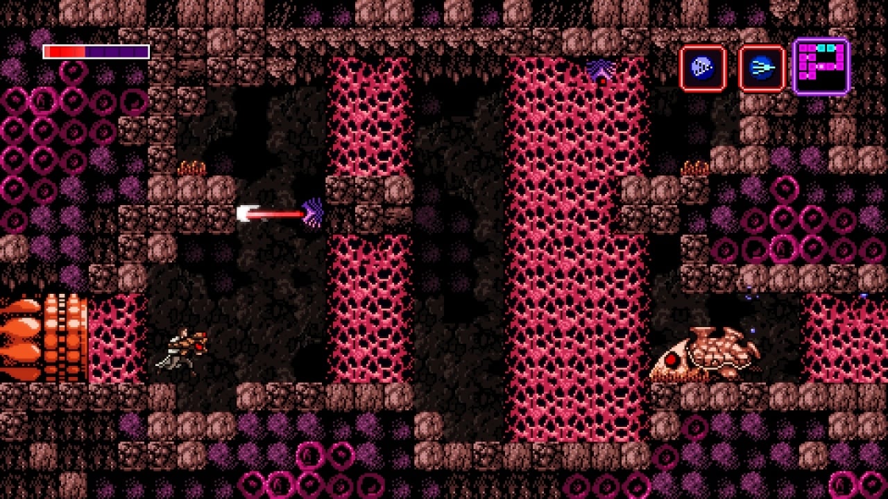 Axiom Verge 随机发生器测试版[Axiom Verge Randomizer Beta] 游戏截图6