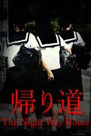 夜晚回家的路[The Night Way Home] 游戏封面