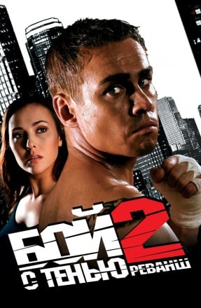 太极拳2：复仇[Shadowboxing 2: Revenge] 游戏封面
