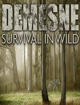 直辖领[Demesne] 游戏封面