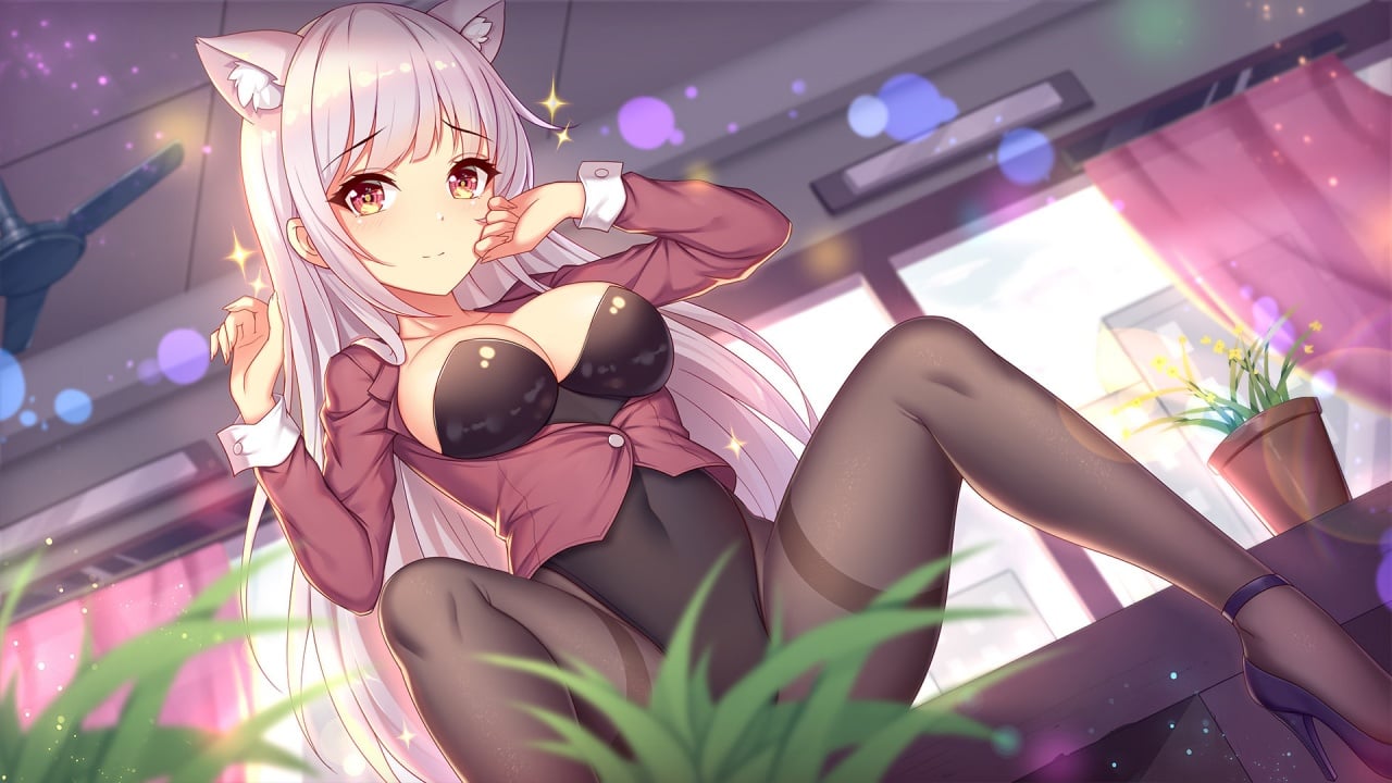 漂亮猫[Pretty Neko] 游戏截图2