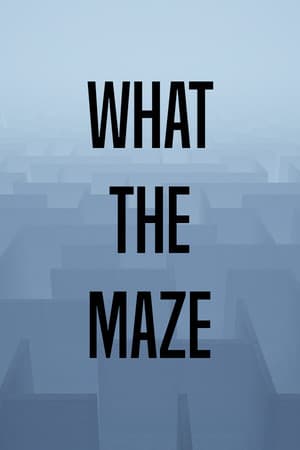 迷宫是什么[What The Maze] 游戏封面