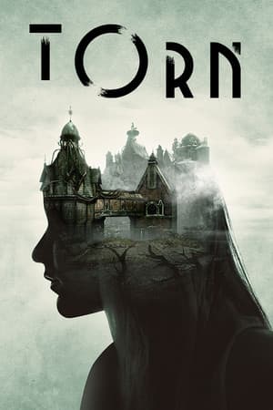 撕裂[Torn] 游戏封面