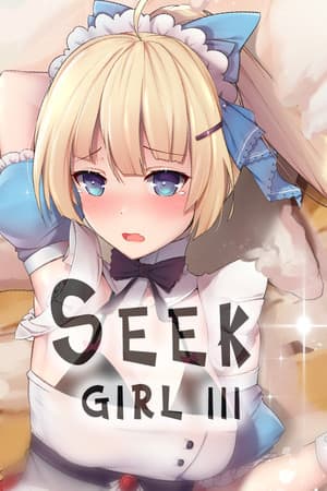 寻找女孩3[Seek Girl 3] 游戏封面