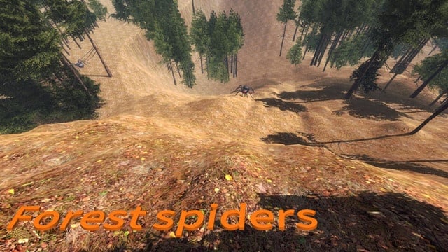 森林蜘蛛[Forest spiders] 游戏截图8