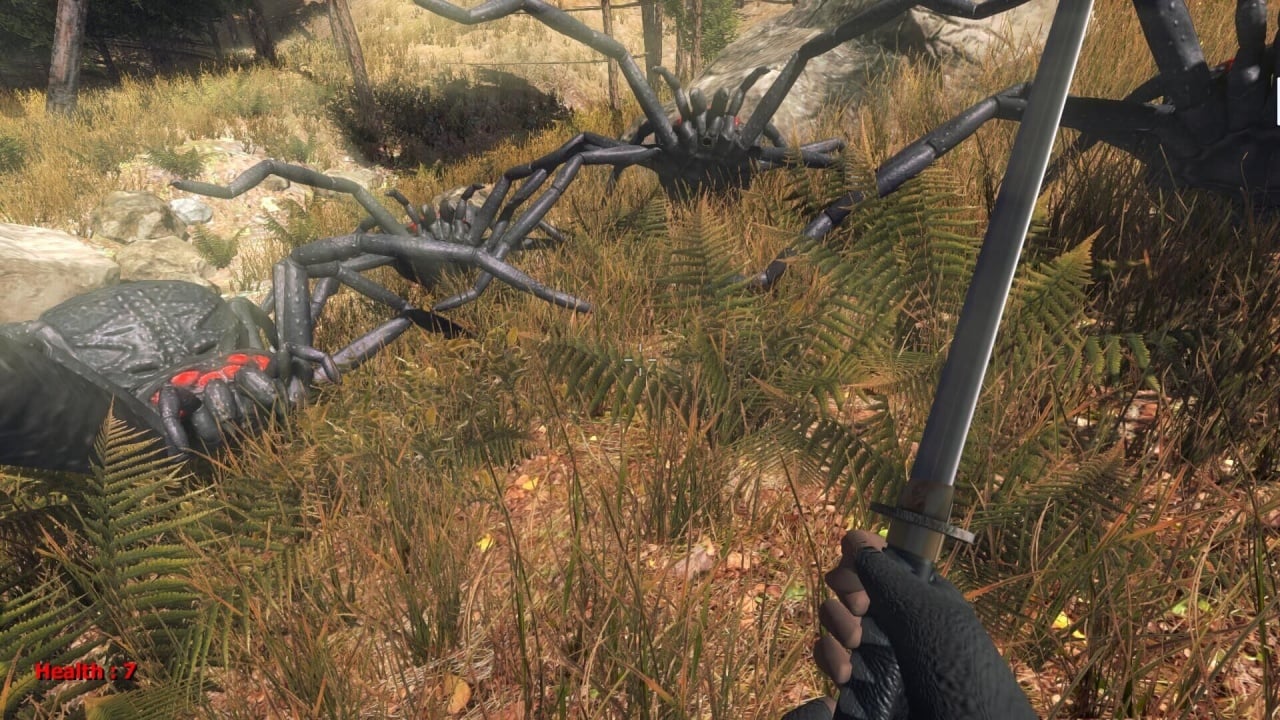 森林蜘蛛[Forest spiders] 游戏截图2