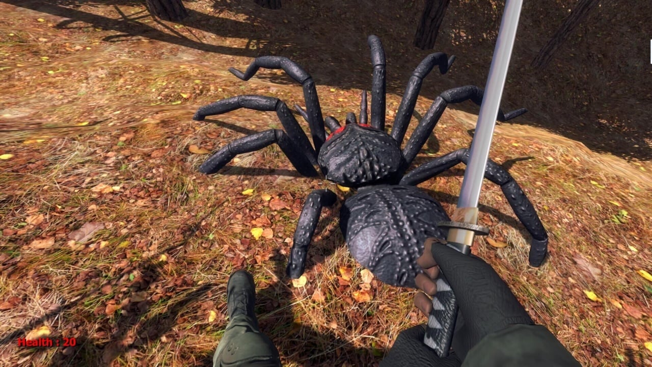 森林蜘蛛[Forest spiders] 游戏截图5
