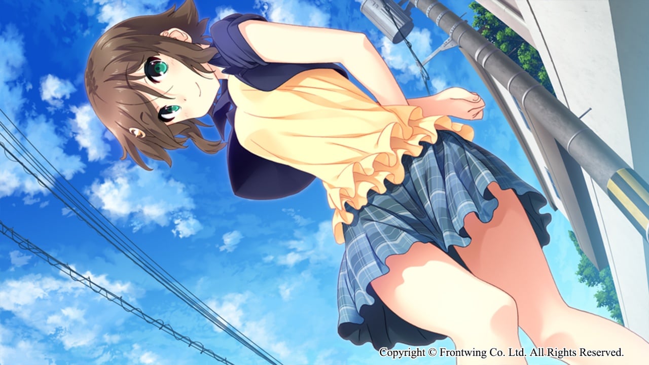 向日葵 - 向日葵 -[Himawari - The Sunflower -] 游戏截图3