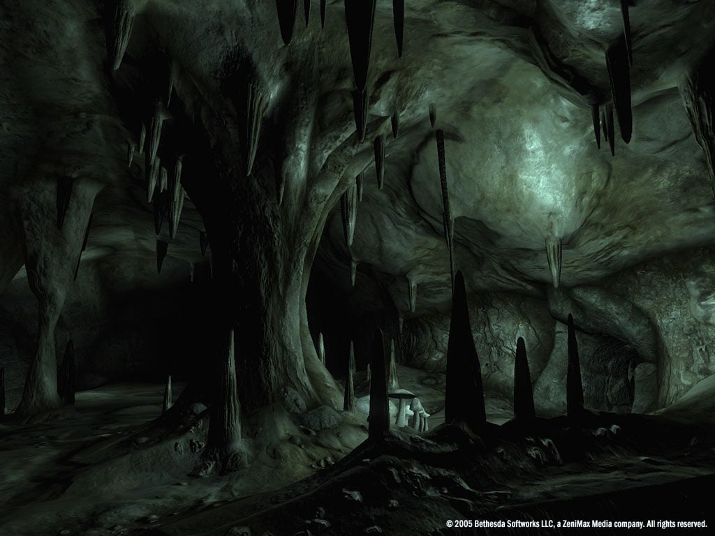 《上古卷轴 4：湮灭》年度游戏豪华版[The Elder Scrolls 4: Oblivion Game of the Year Edition Deluxe] 游戏截图5