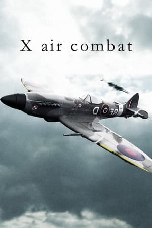 X空战[X air combat] 游戏封面