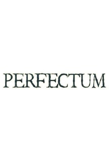 完美的[Perfectum] 游戏封面