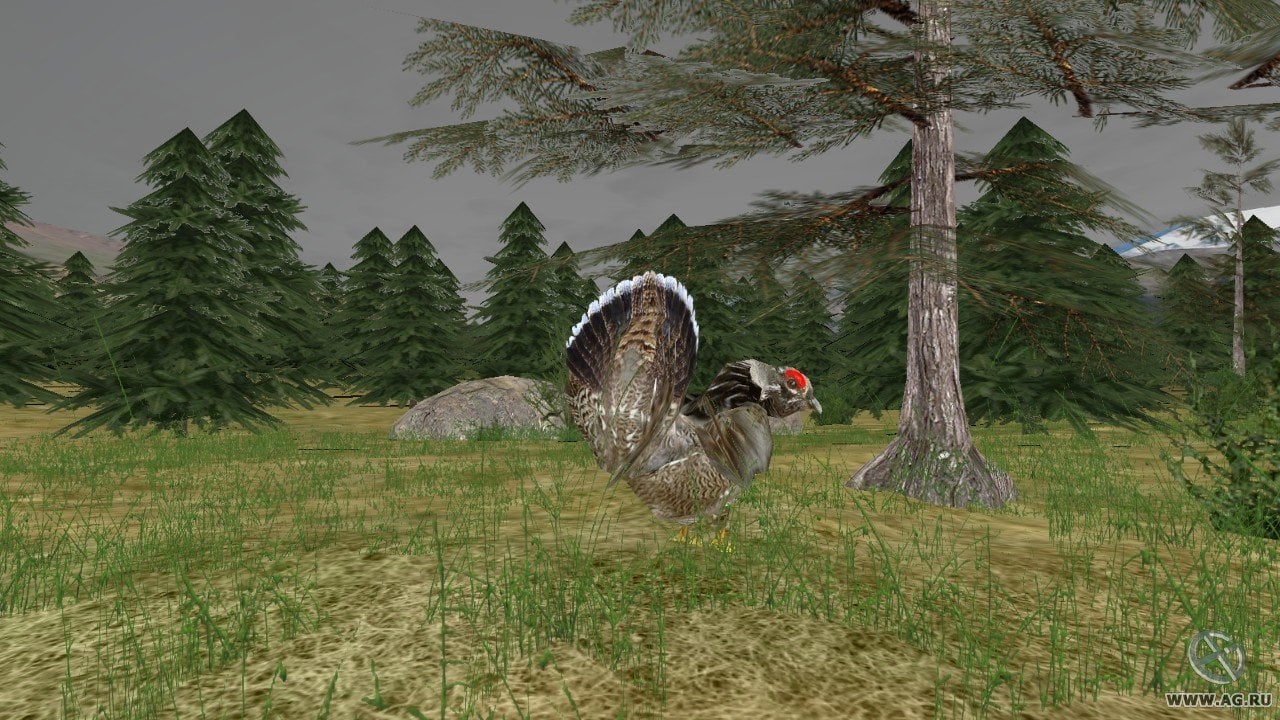 雷明顿超级大满贯狩猎：阿拉斯加[Remington Super Slam Hunting: Alaska] 游戏截图6