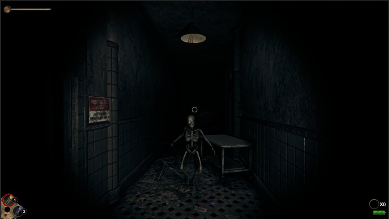 疯人院里的恐怖[Horror in the Asylum] 游戏截图4