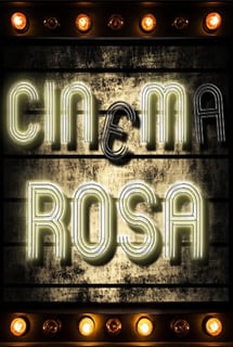 罗莎电影院[The Cinema Rosa] 游戏封面