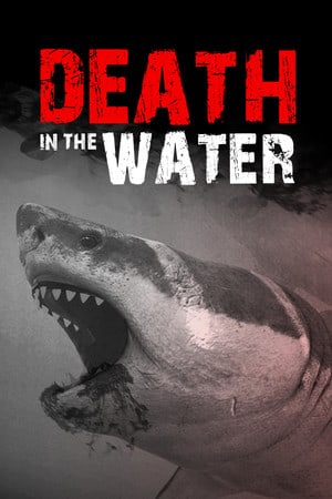 水中死亡[Death in the Water] 游戏封面