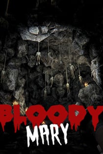 血腥玛丽：被遗忘的诅咒[Bloody Mary: Forgotten Curse] 游戏封面