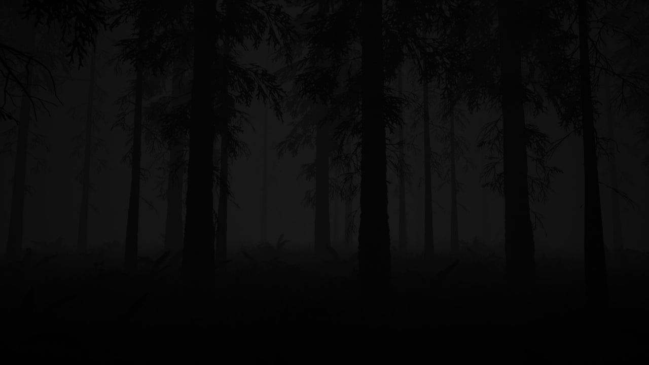 不寻常的研究：秘密森林[Study of Unusual: Forest of Secrets] 游戏截图5