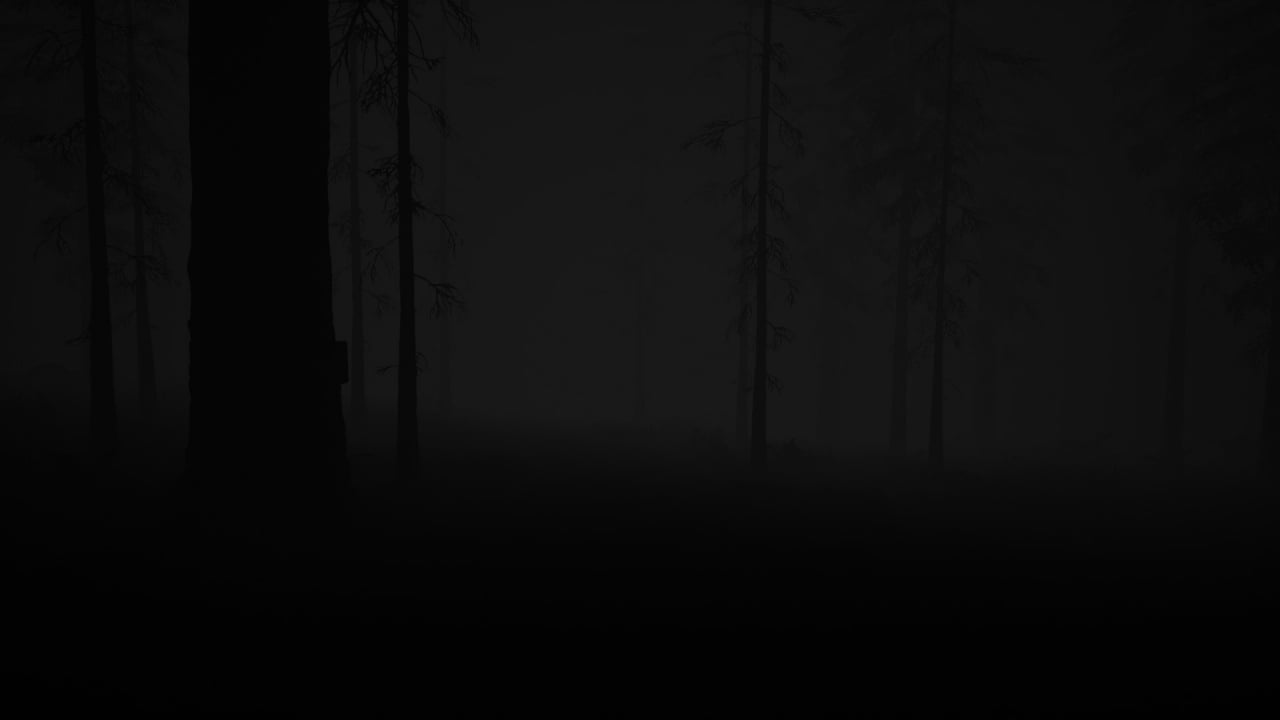 不寻常的研究：秘密森林[Study of Unusual: Forest of Secrets] 游戏截图3