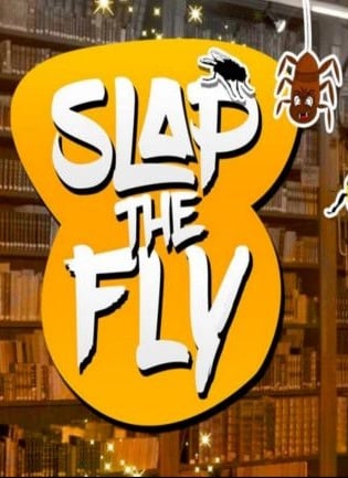 拍打苍蝇[Slap The Fly] 游戏封面