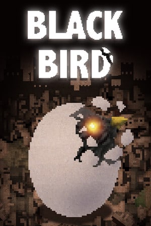 黑鸟[BLACK BIRD] 游戏封面