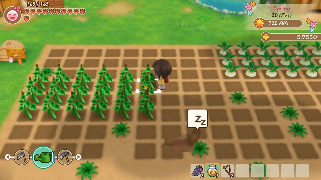 季节的故事：矿镇之友[STORY OF SEASONS: Friends of Mineral Town] 游戏截图4
