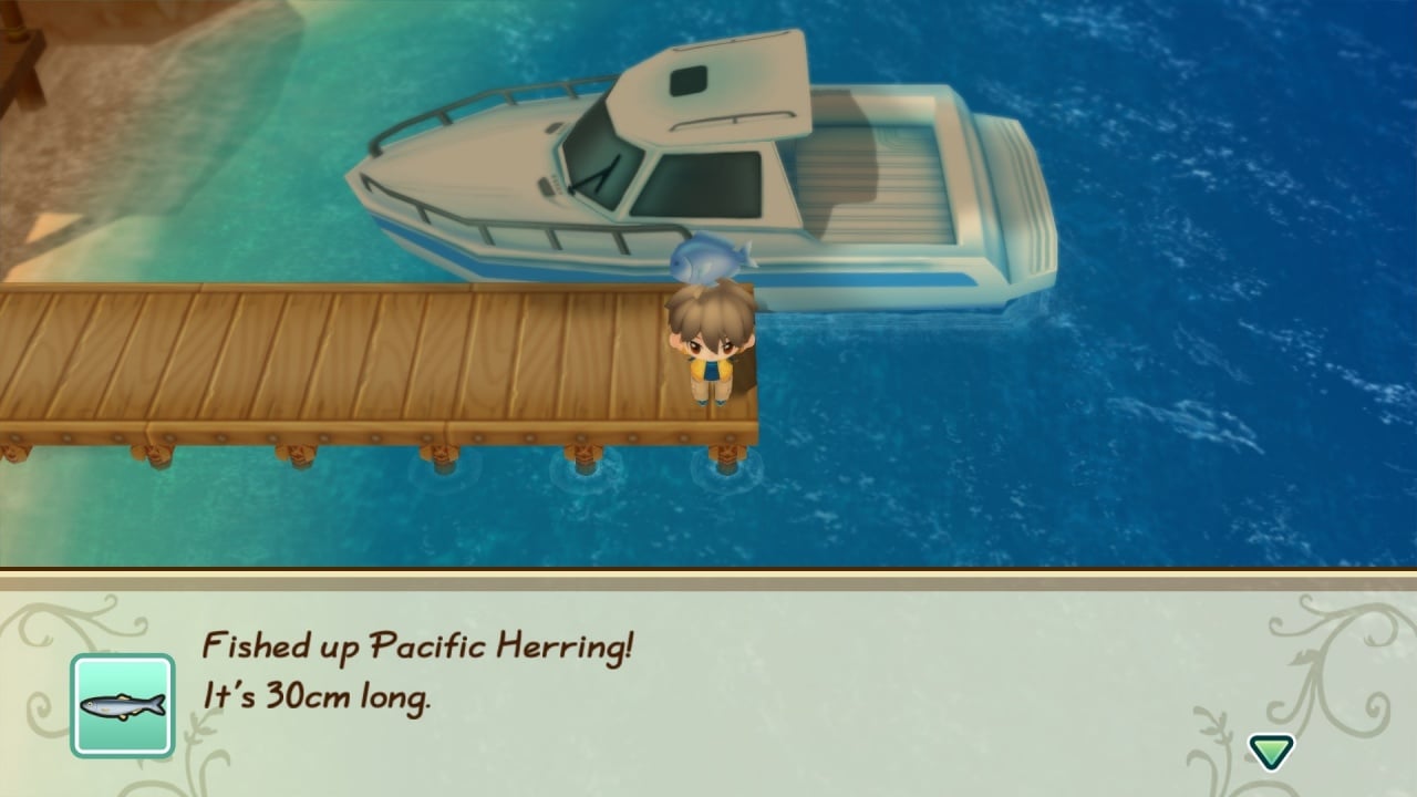 季节的故事：矿镇之友[STORY OF SEASONS: Friends of Mineral Town] 游戏截图6