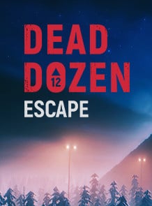 死亡一打[DEAD DOZEN] 游戏封面