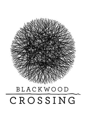布莱克伍德十字路口[Blackwood Crossing] 游戏封面