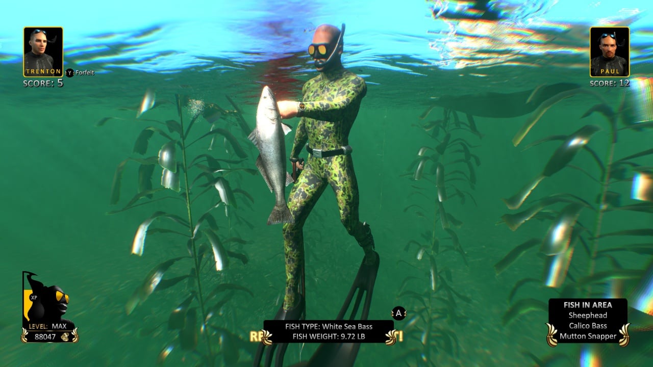 自由潜水猎人用鱼叉捕鱼世界[Freediving Hunter Spearfishing the World] 游戏截图5