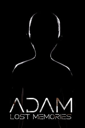 亚当 - 失去的记忆[Adam - Lost Memories] 游戏封面