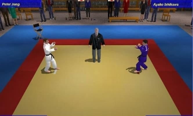 3D柔道格斗[3D Judo Fighting] 游戏截图4