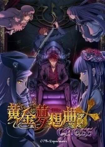 王权无双极十字[Ougon Musou Kyoku Cross] 游戏封面