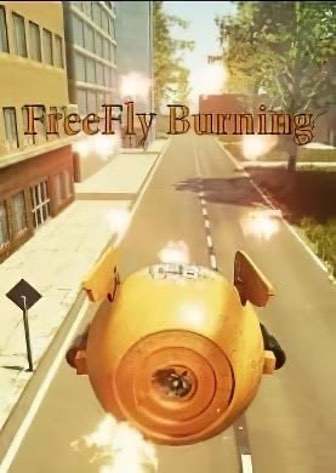 自由飞行燃烧[FreeFly Burning] 游戏封面