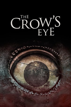鸦眼[The Crow's Eye] 游戏封面