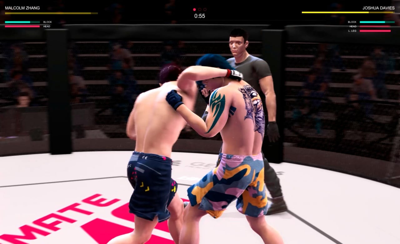 终极综合格斗[Ultimate MMA] 游戏截图13