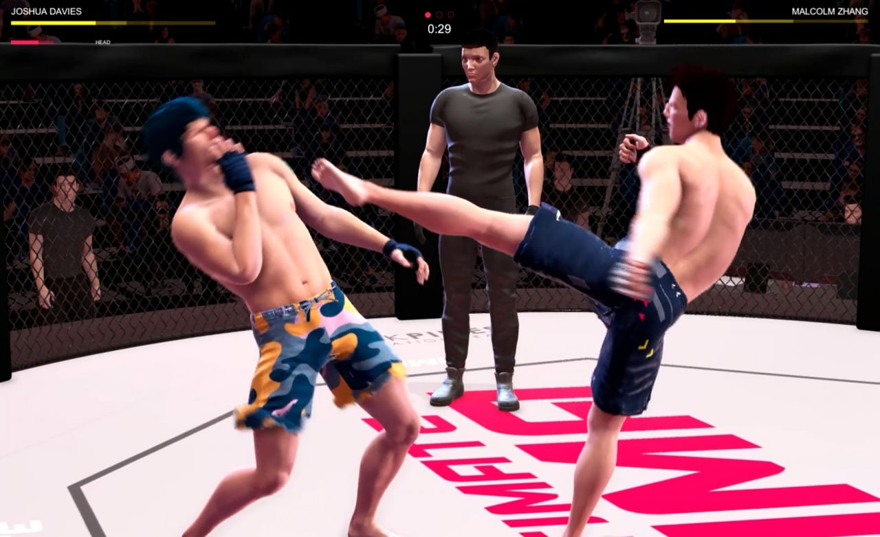 终极综合格斗[Ultimate MMA] 游戏截图2